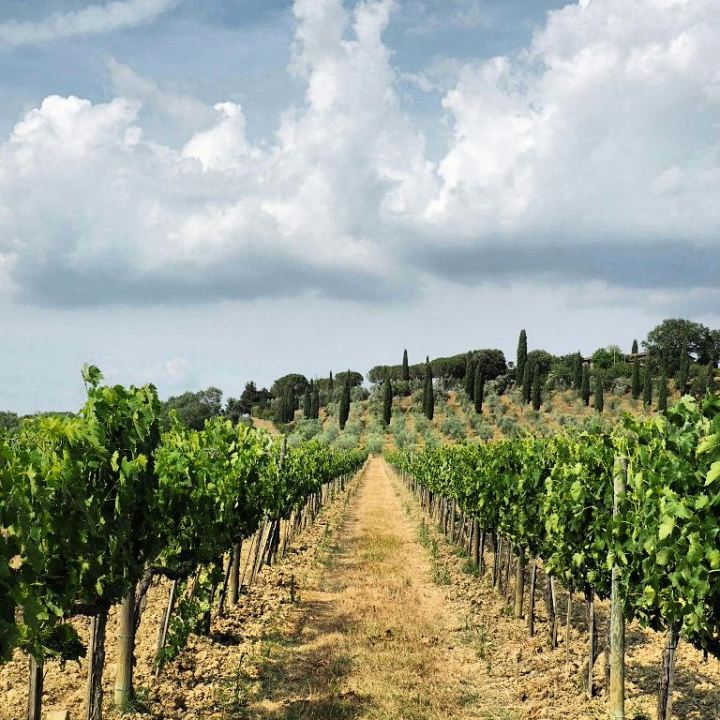 IMG_20170628_155813_971